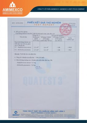 Chứng nhận khẩu trang Skylight-8